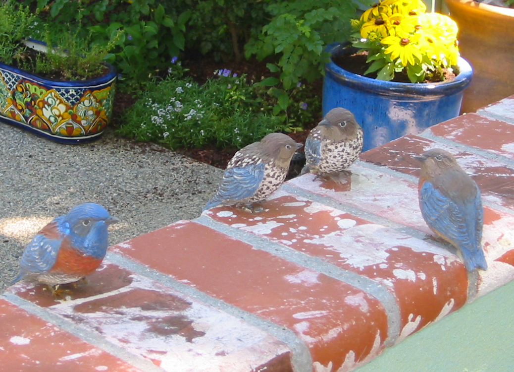 Scupted ceramic Bluebird family perched on garden wall