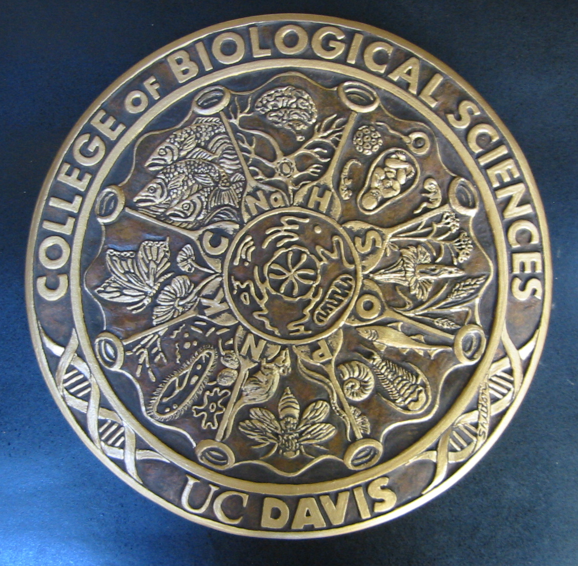College of Biological Sciences Medal/Seal